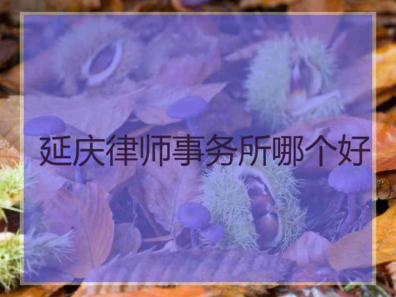 延庆律师事务所哪个好