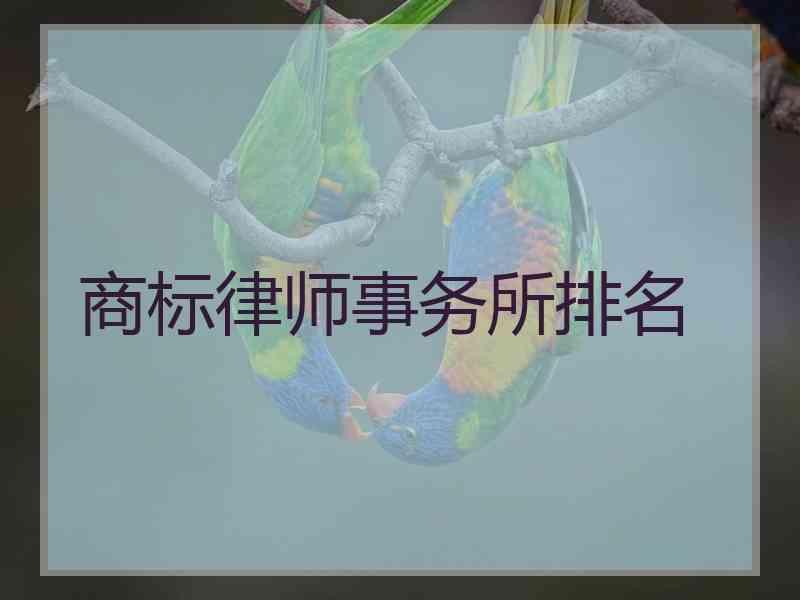 商标律师事务所排名