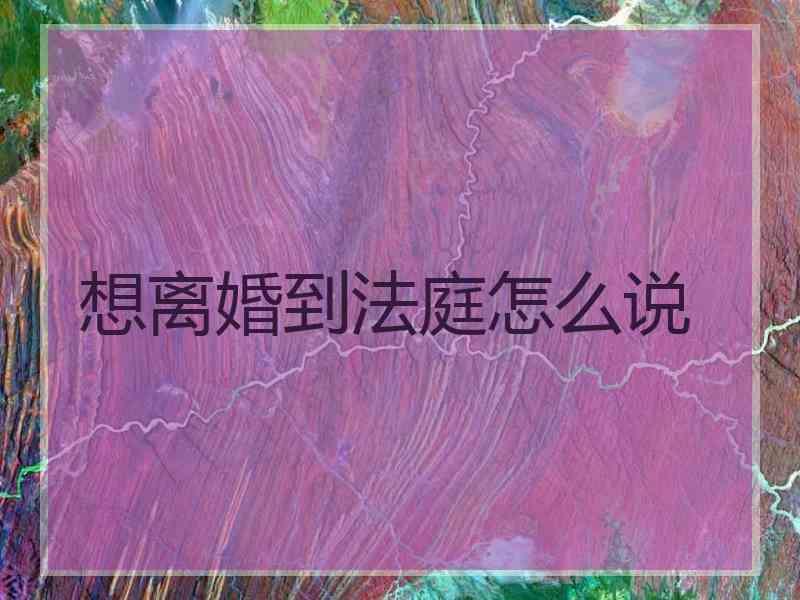 想离婚到法庭怎么说