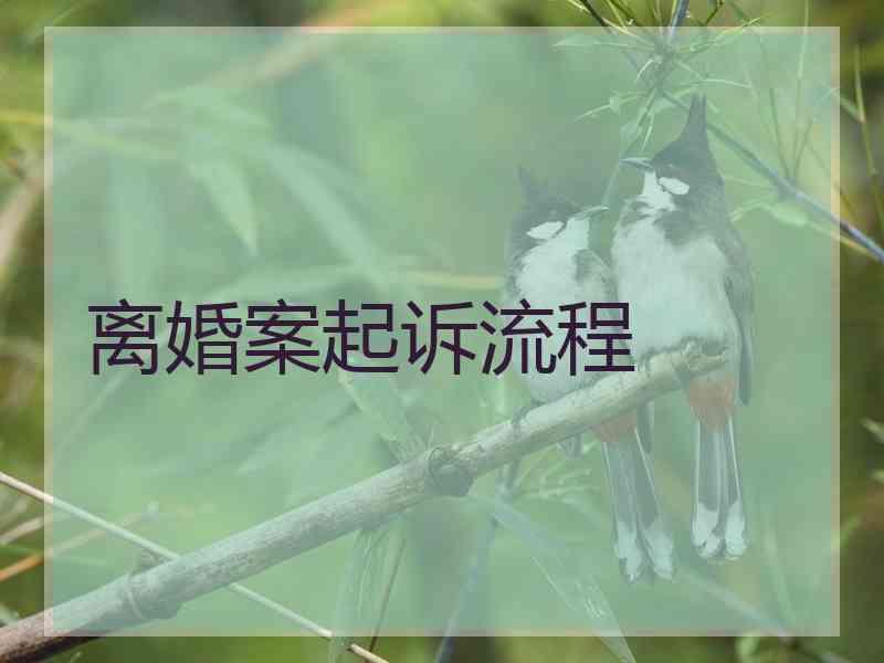 离婚案起诉流程