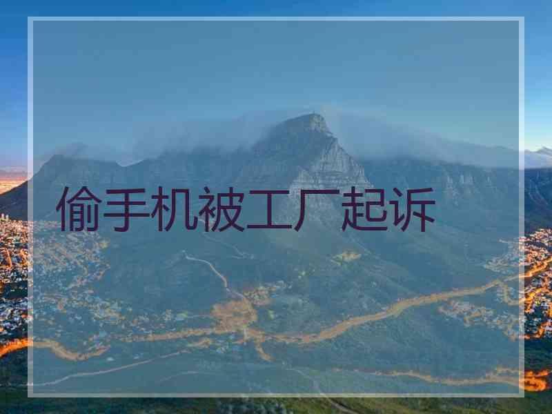 偷手机被工厂起诉