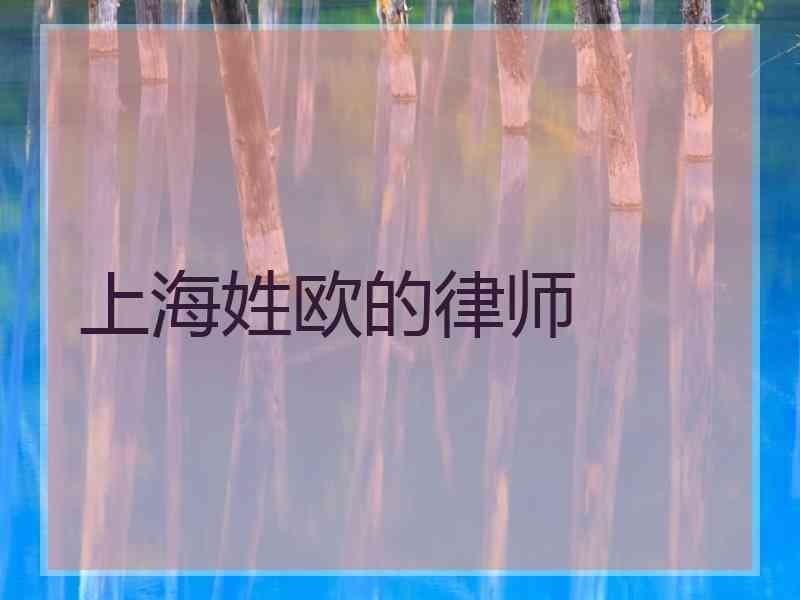 上海姓欧的律师