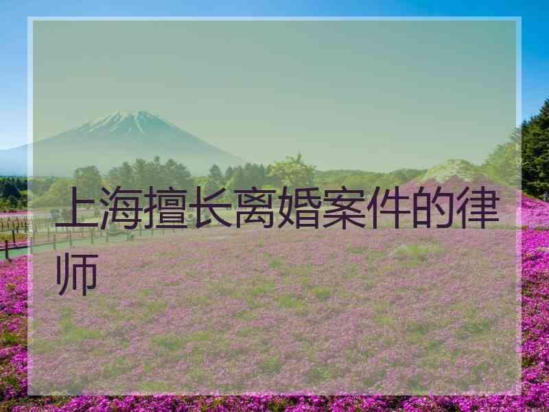 上海擅长离婚案件的律师