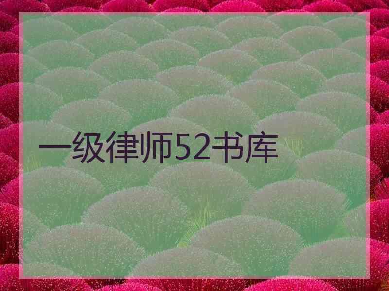 一级律师52书库