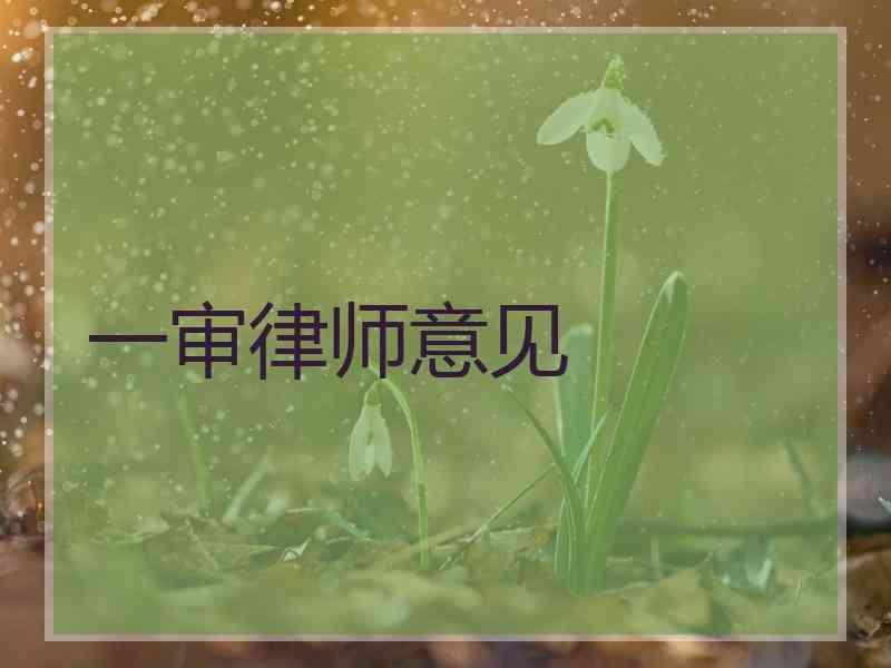 一审律师意见