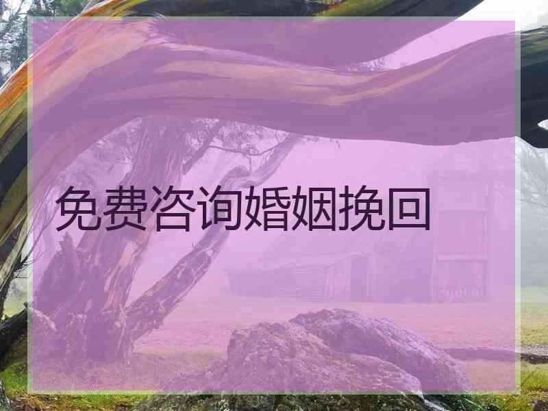 免费咨询婚姻挽回