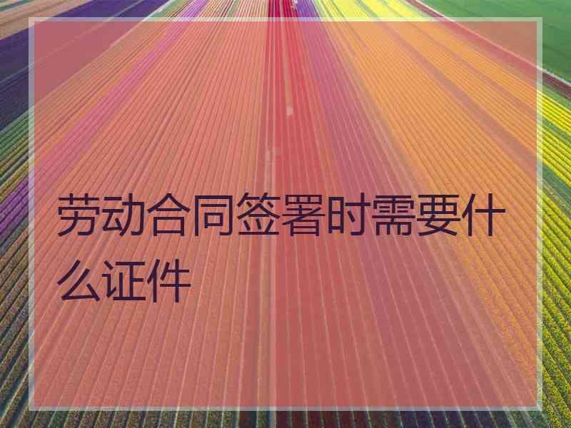 劳动合同签署时需要什么证件