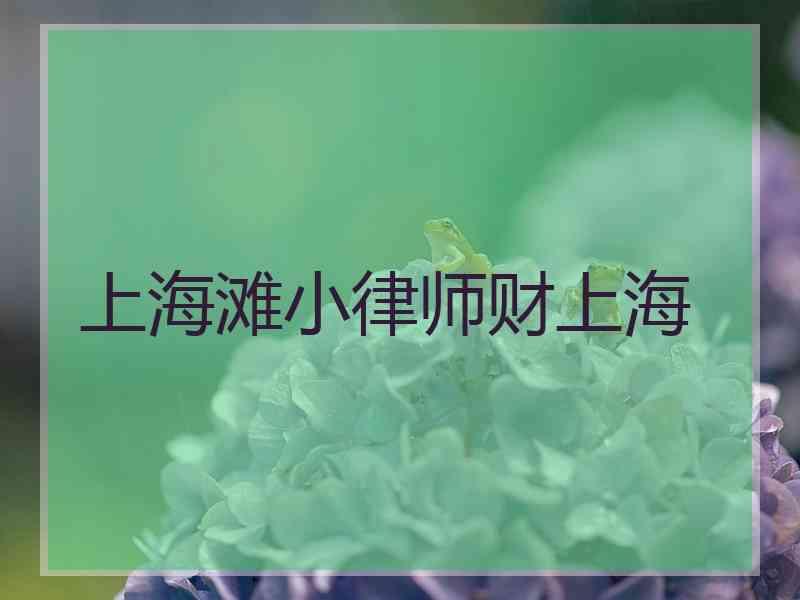 上海滩小律师财上海