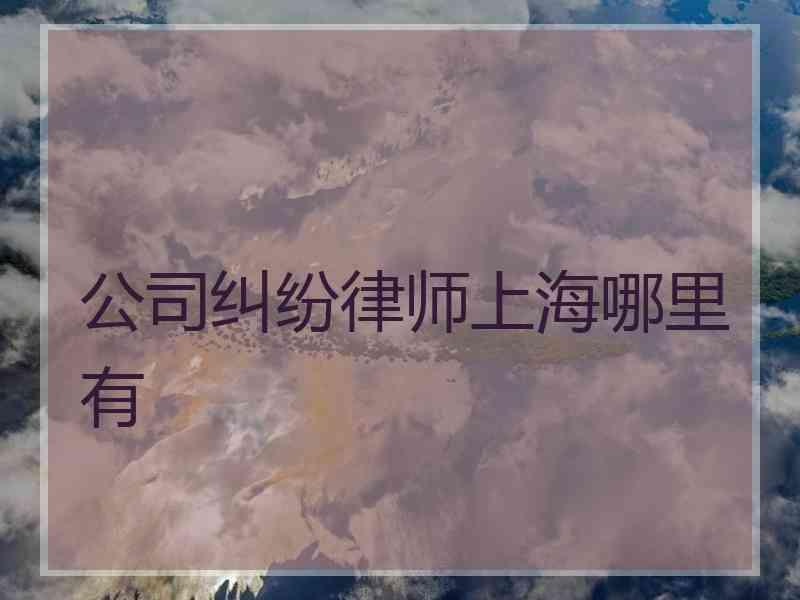 公司纠纷律师上海哪里有