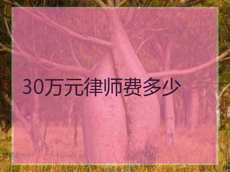 30万元律师费多少