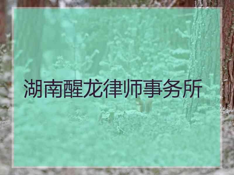 湖南醒龙律师事务所