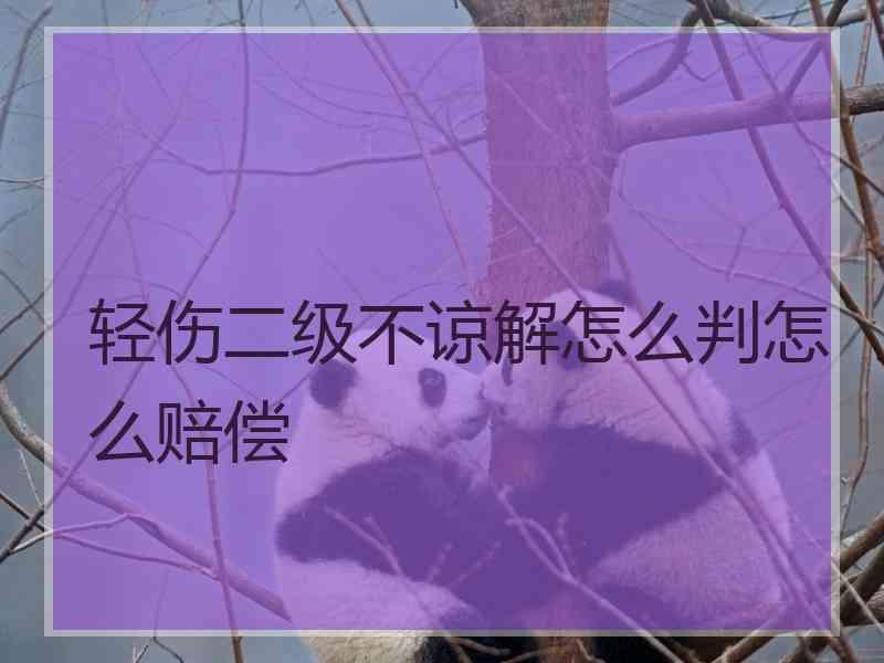 轻伤二级不谅解怎么判怎么赔偿