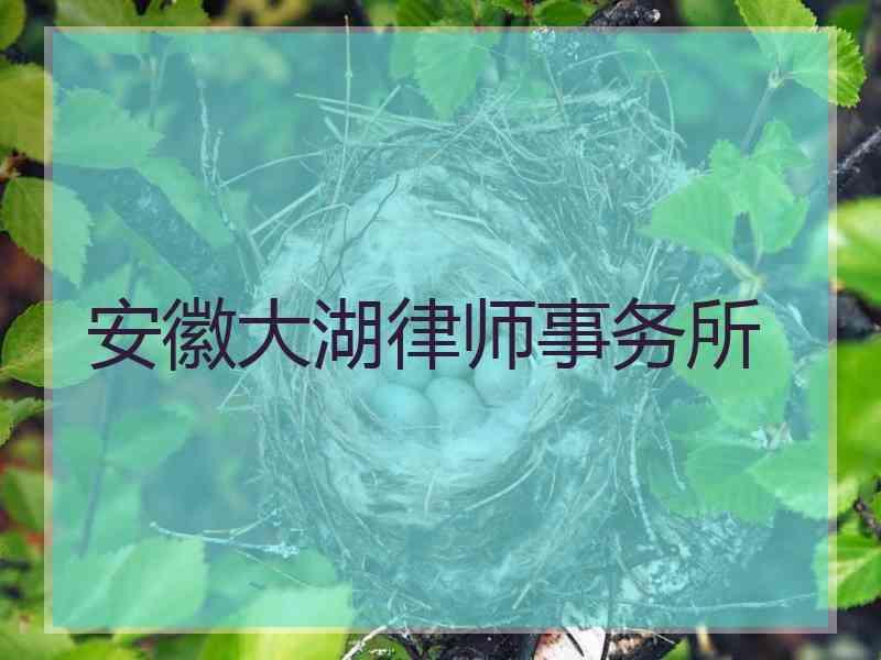 安徽大湖律师事务所