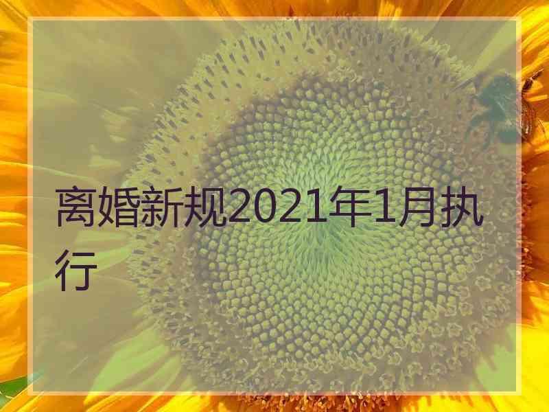 离婚新规2021年1月执行