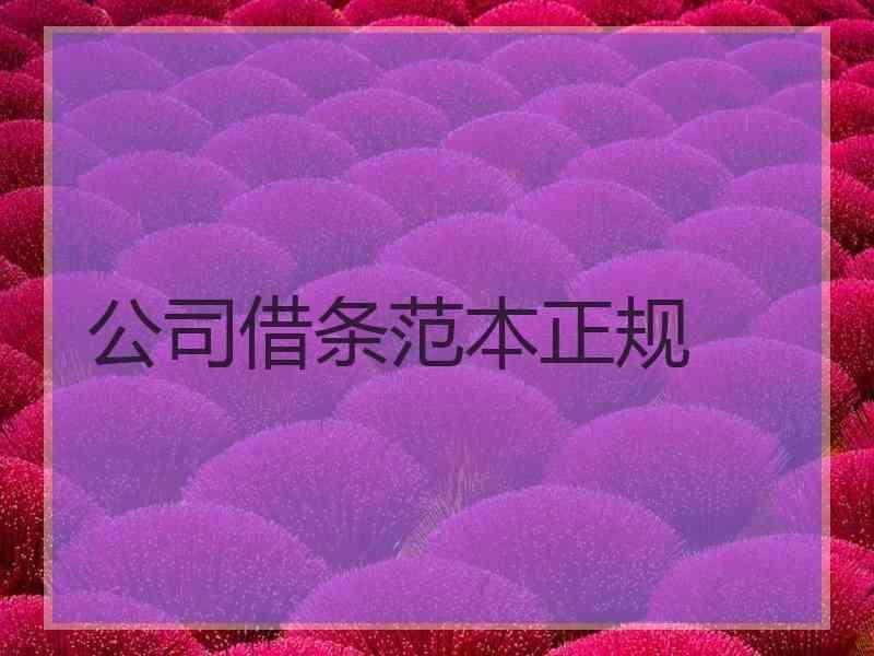 公司借条范本正规