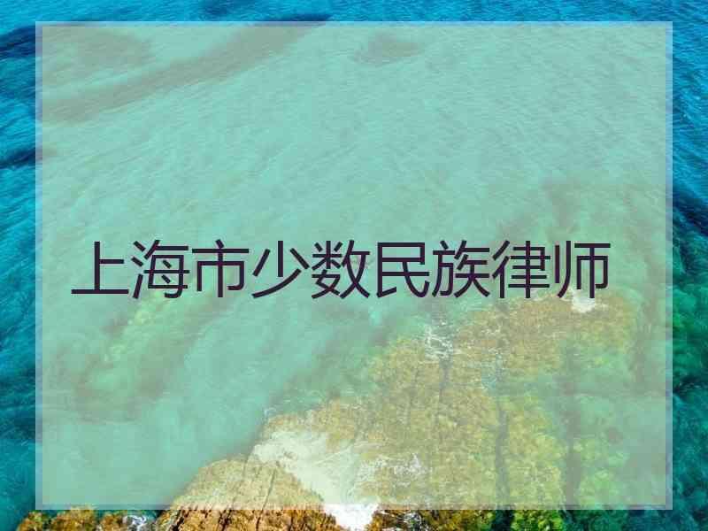 上海市少数民族律师