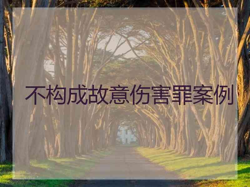 不构成故意伤害罪案例