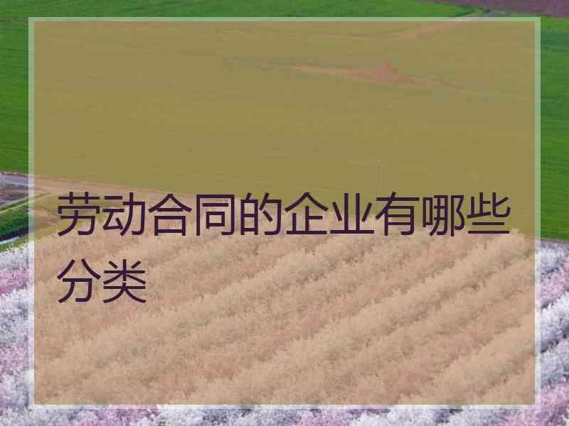 劳动合同的企业有哪些分类