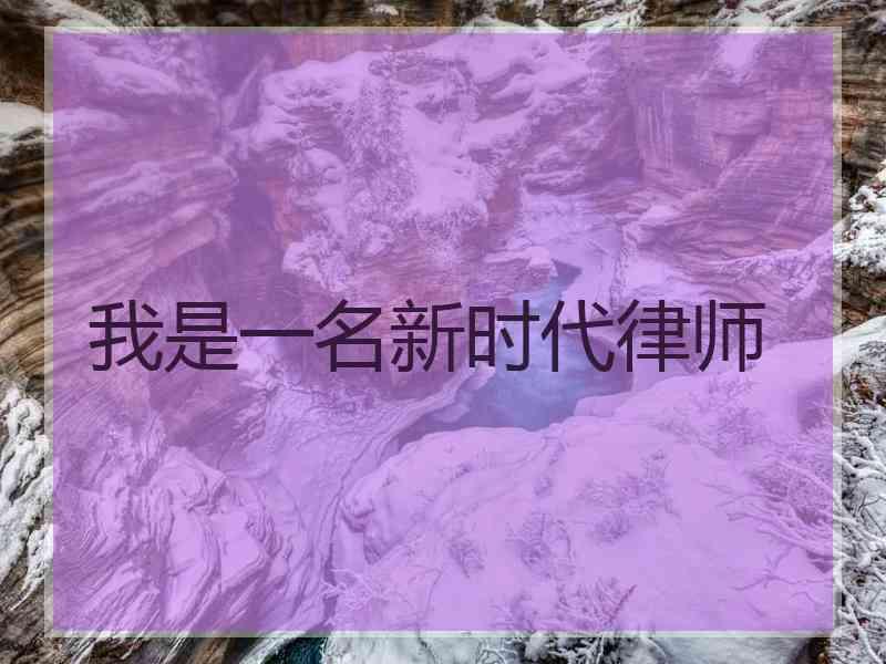 我是一名新时代律师