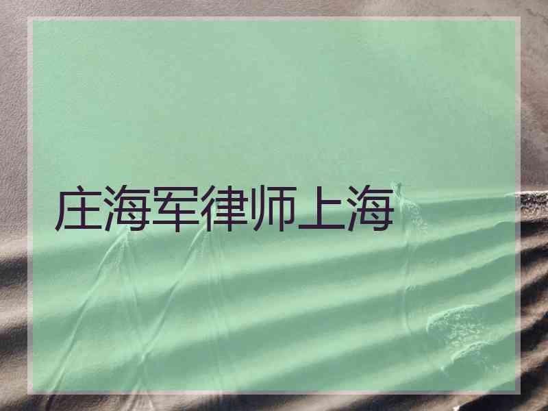 庄海军律师上海