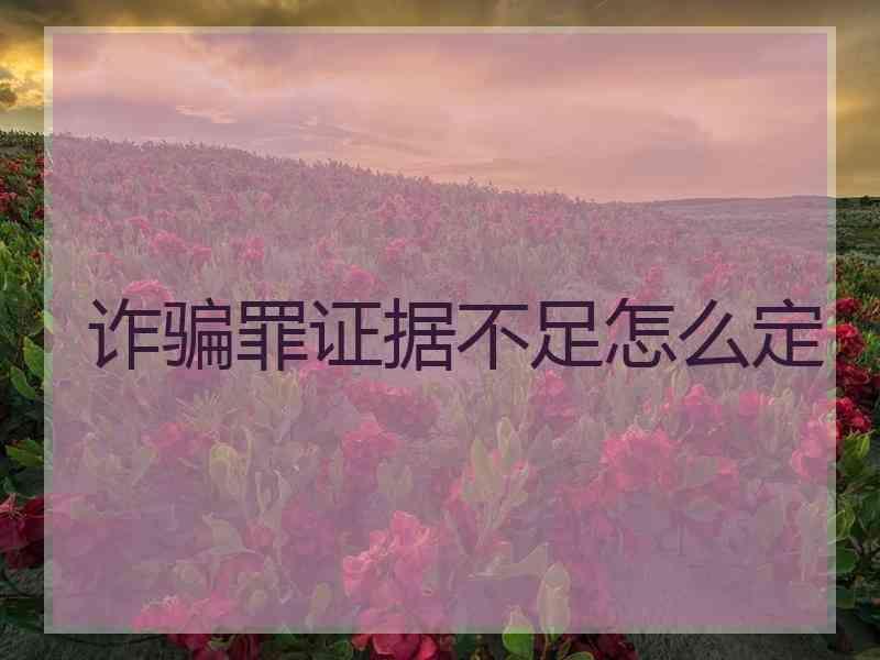 诈骗罪证据不足怎么定