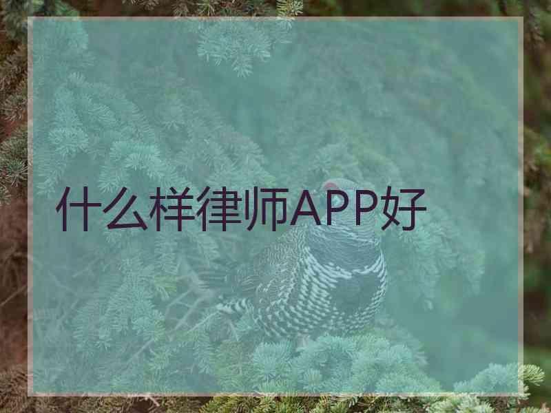 什么样律师APP好