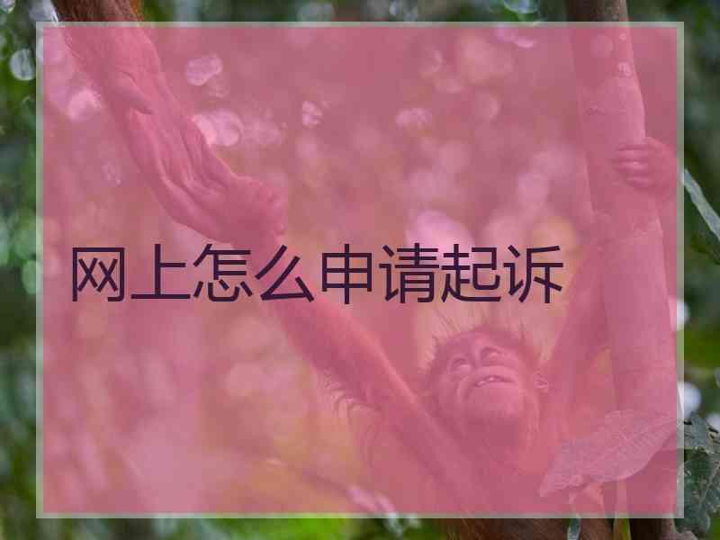 网上怎么申请起诉