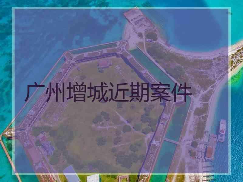 广州增城近期案件