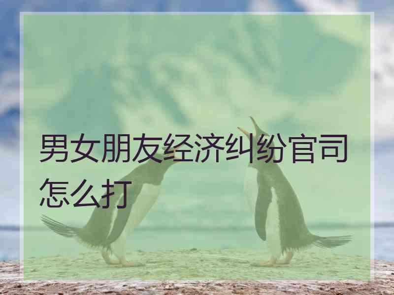 男女朋友经济纠纷官司怎么打