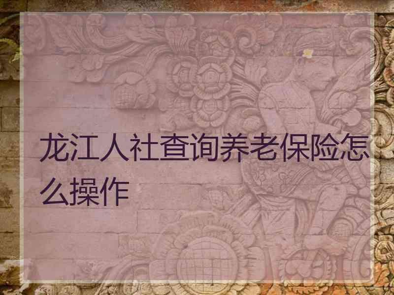 龙江人社查询养老保险怎么操作