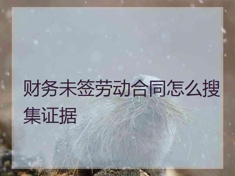 财务未签劳动合同怎么搜集证据