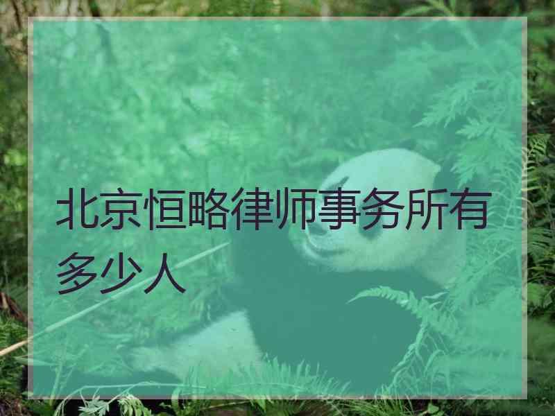 北京恒略律师事务所有多少人