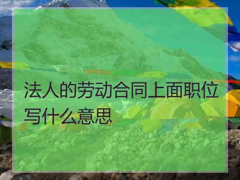 法人的劳动合同上面职位写什么意思