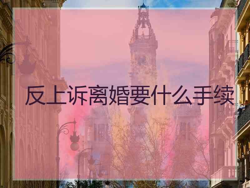 反上诉离婚要什么手续