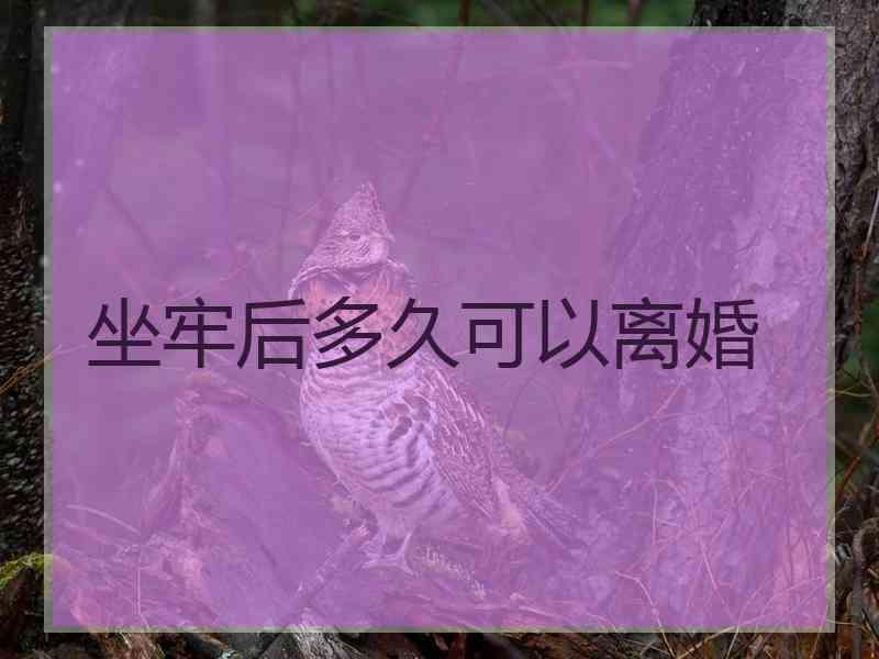 坐牢后多久可以离婚