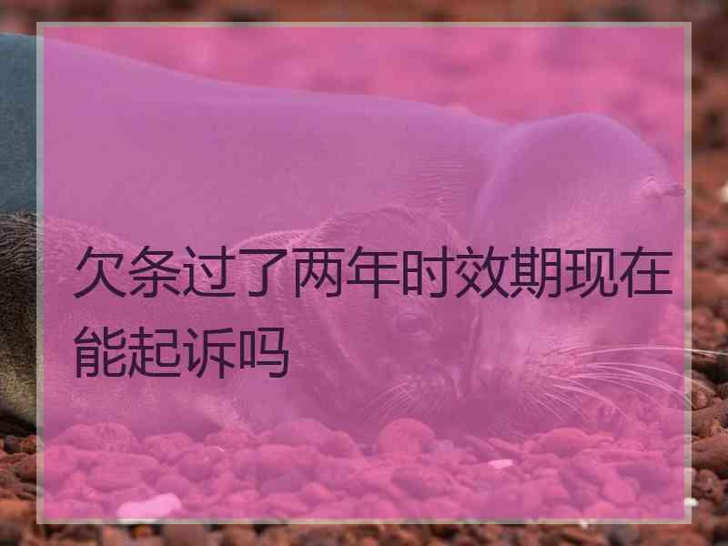 欠条过了两年时效期现在能起诉吗 欠条过了两年时效期现在能起诉吗