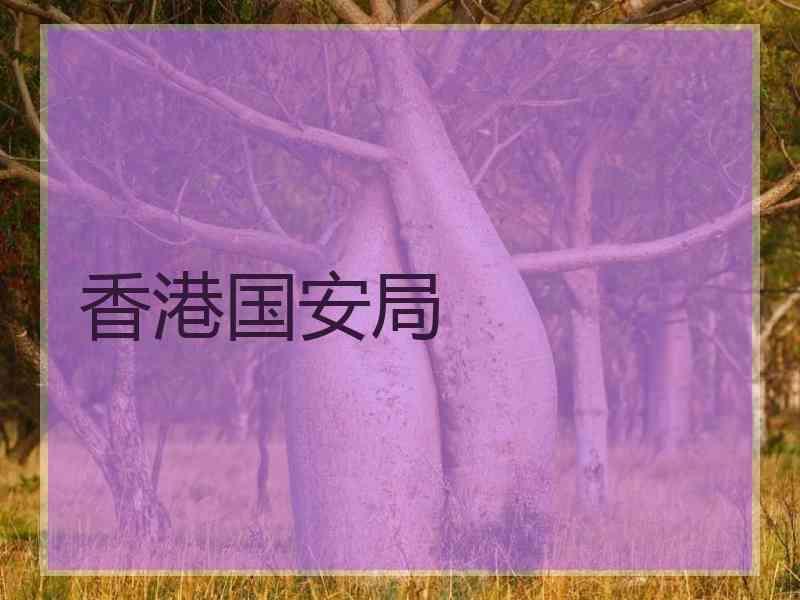 香港国安局