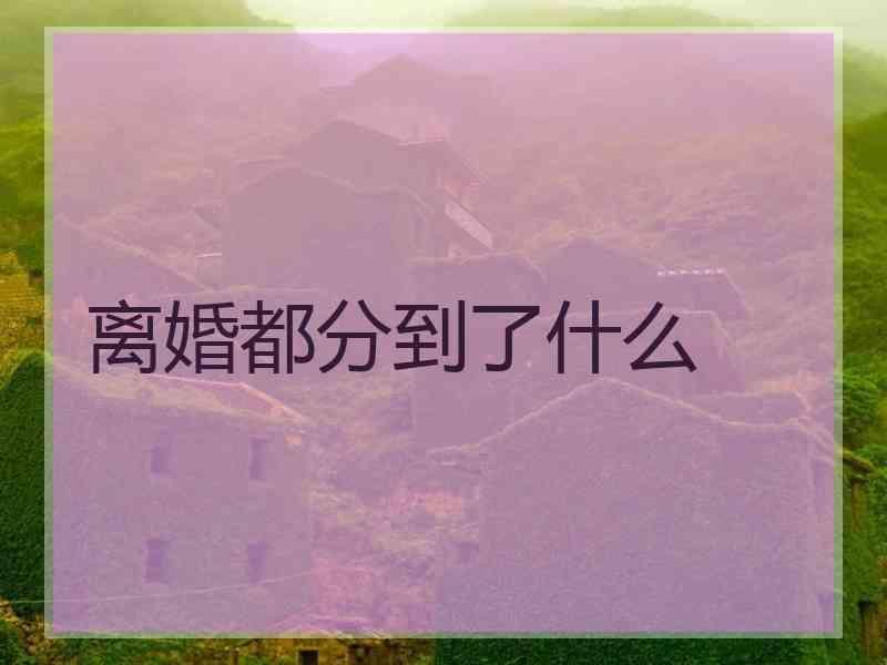 离婚都分到了什么