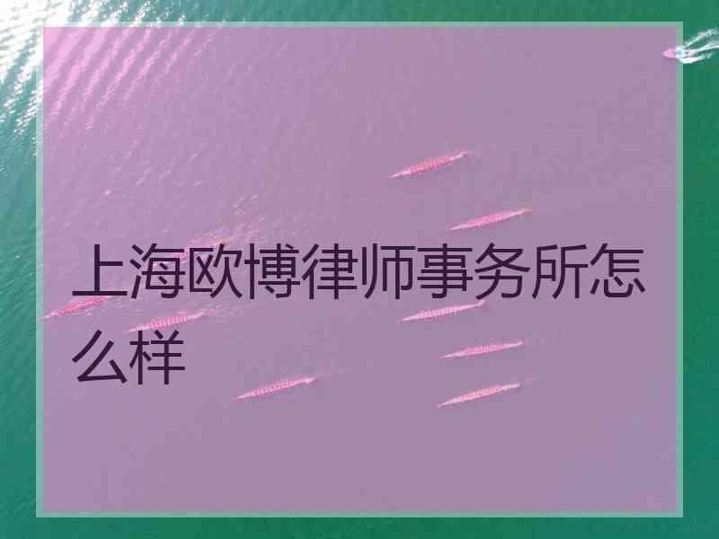 上海欧博律师事务所怎么样