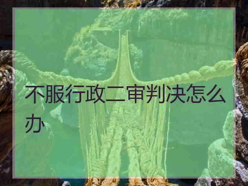 不服行政二审判决怎么办