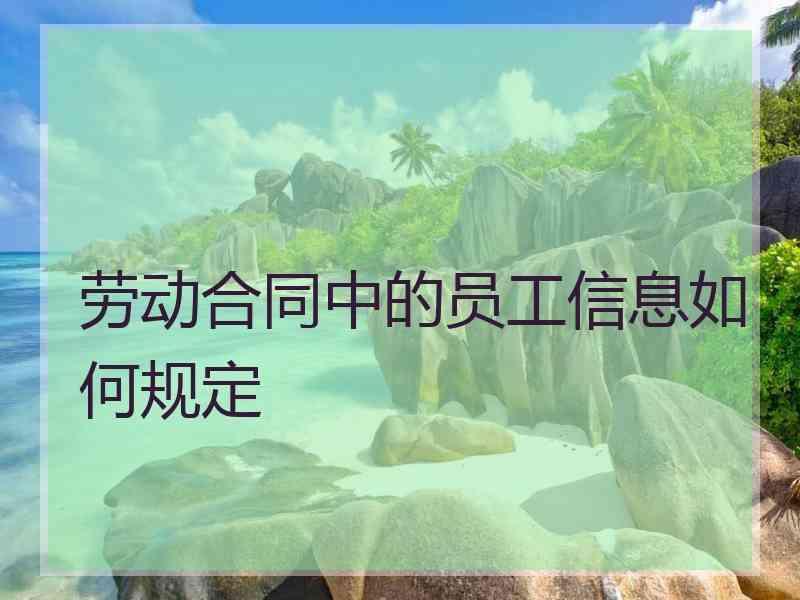 劳动合同中的员工信息如何规定