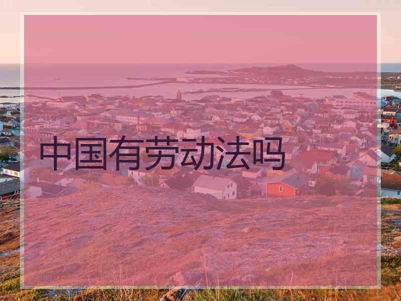 中国有劳动法吗