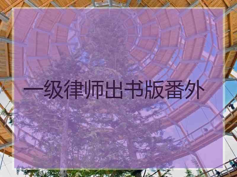 一级律师出书版番外