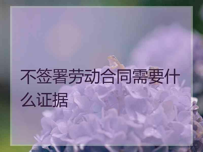 不签署劳动合同需要什么证据