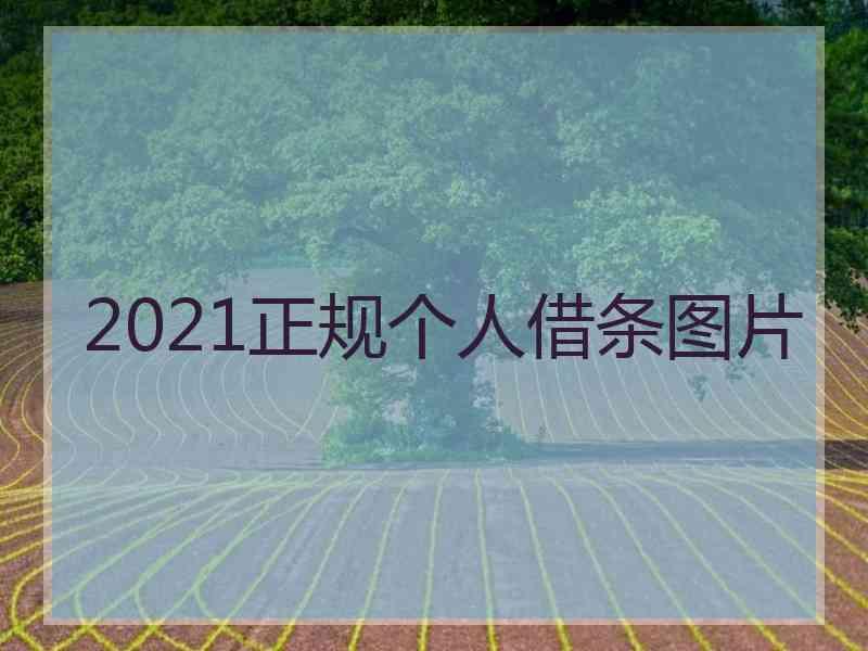 2021正规个人借条图片