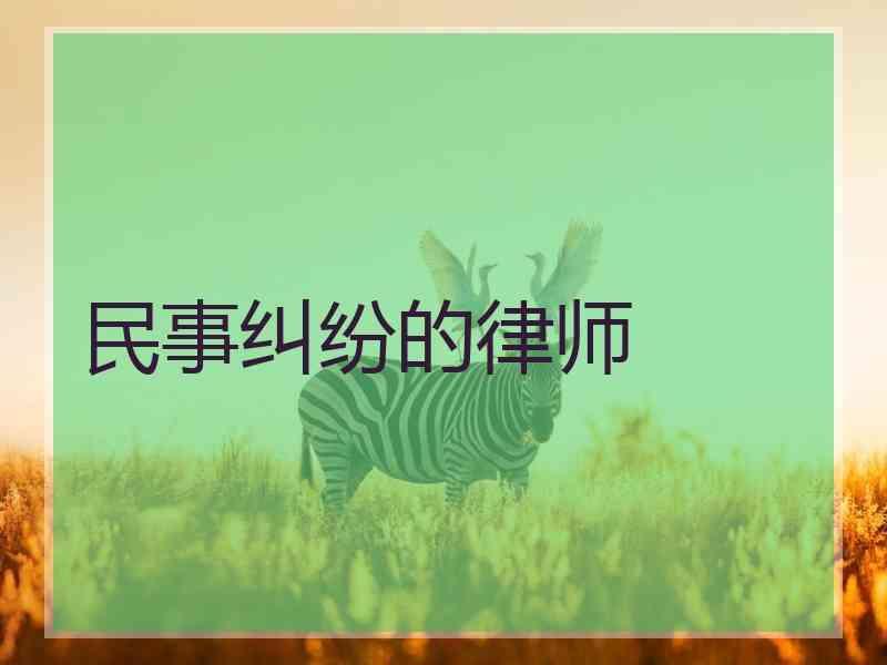 民事纠纷的律师