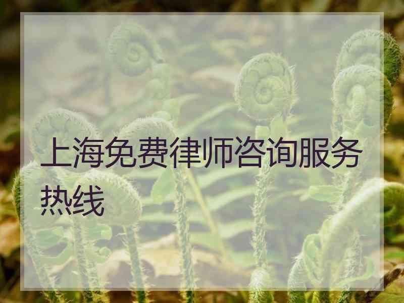 上海免费律师咨询服务热线