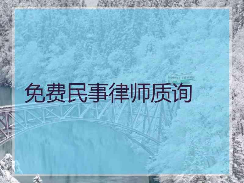 免费民事律师质询