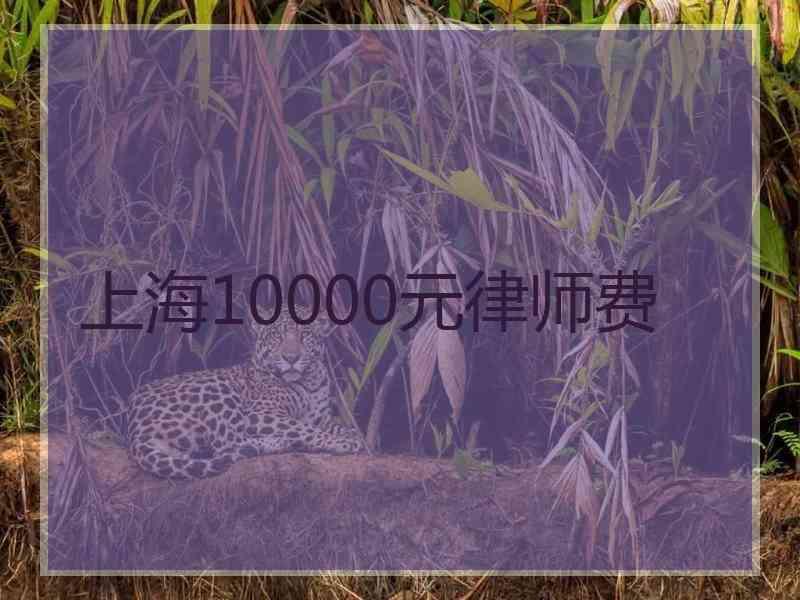 上海10000元律师费