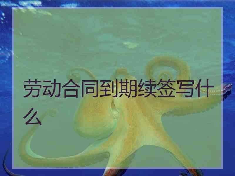 劳动合同到期续签写什么